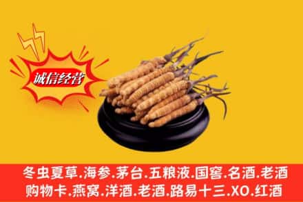云霄县求购回收虫草多少钱每克